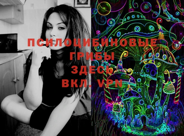 ПСИЛОЦИБИНОВЫЕ ГРИБЫ Алексеевка