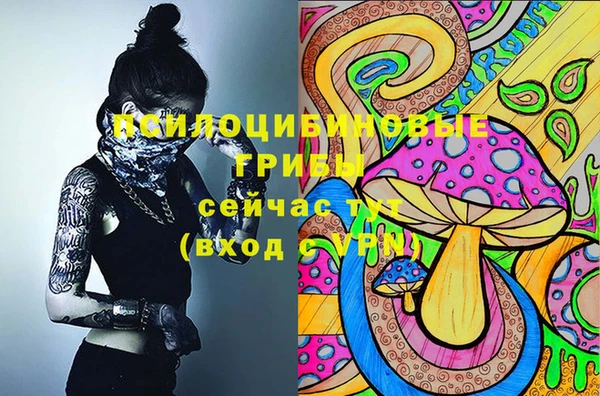 ALPHA PVP Алзамай
