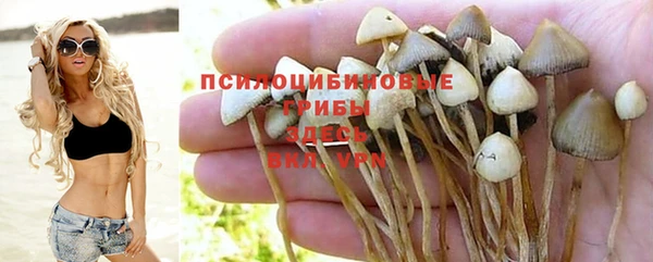 ALPHA PVP Алзамай