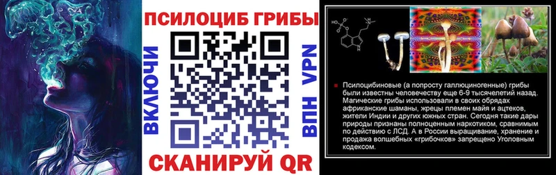 Галлюциногенные грибы мицелий  маркетплейс наркотические препараты  Минусинск  мега рабочий сайт 